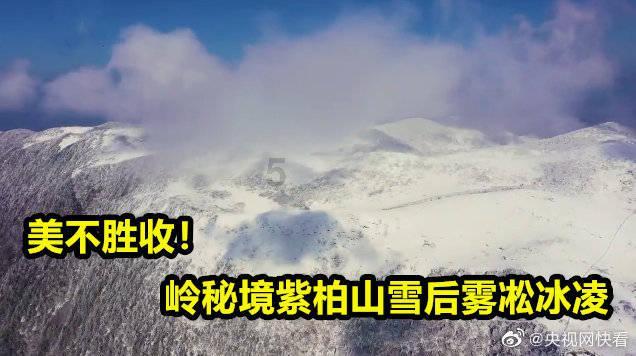 蜜蜂救援